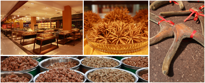 中药材专业市场